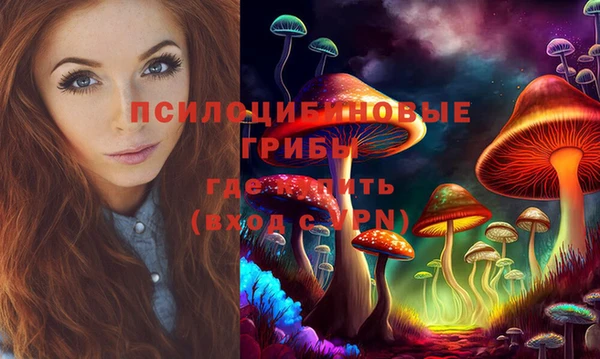 гидра Армянск