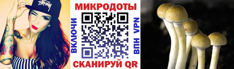 МЕГА ссылка  Соликамск  Галлюциногенные грибы GOLDEN TEACHER  где купить наркоту 